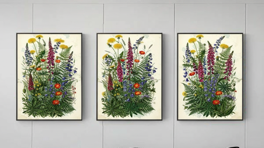 nature and flowers